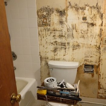 HomeCheck Inspection Services - It's a lot of mold - Home Inspectors Near Me - Portland, Oregon HomeCheck Inspection Services - It's a lot of mold - Home Inspectors Near Me - Portland, Oregon
