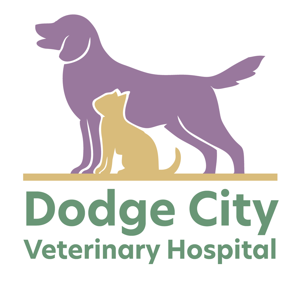 DODGE CITY VETERINARY HOSPITAL Updated September 2024 16 Reviews