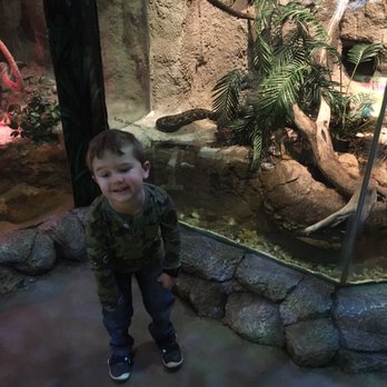 Cameron Park Zoo - Zoos Near Me - Waco, Texas Cameron Park Zoo - Zoos Near Me - Waco, Texas