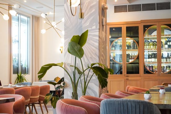 Meet Dalia - Mediterranean restaurant in Miami Beach by null