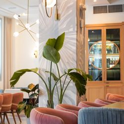 Meet Dalia - Indoor and outdoor seatings