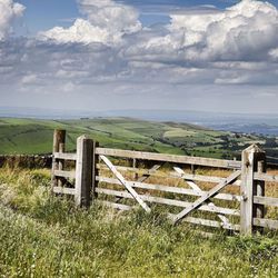 New Gate Insurance Services