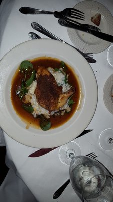 Bistro Daisy by null