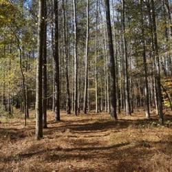 Unpaved path near Cativo Rd entrance