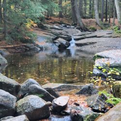 Moose Hillock Camping Resort