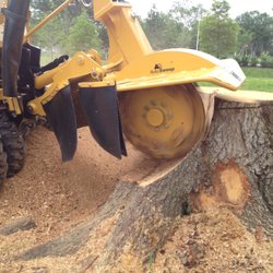 Aska Stump Grinding-Removal
