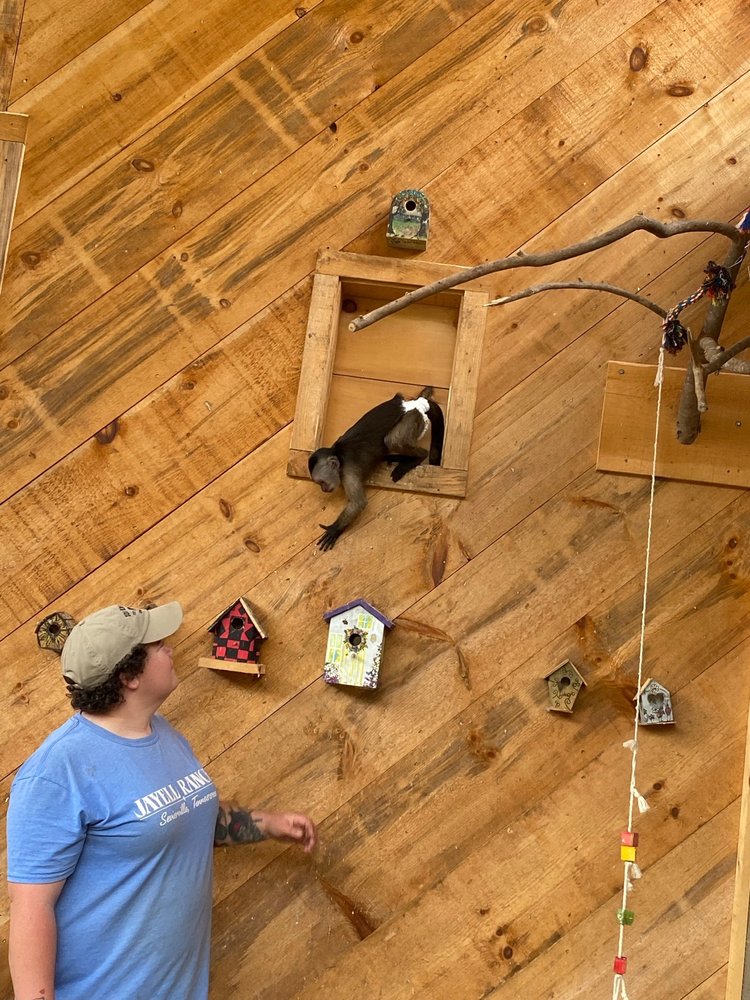 Goldrush Stables & Stage Lines - equestrian in Pigeon Forge, TN