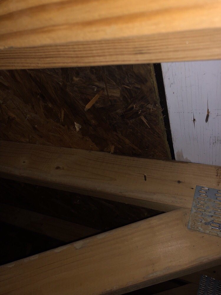 Slide of Findlay Roofing