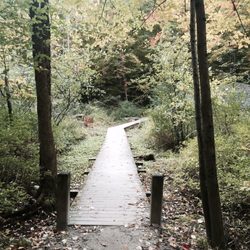 Pine Hill Park