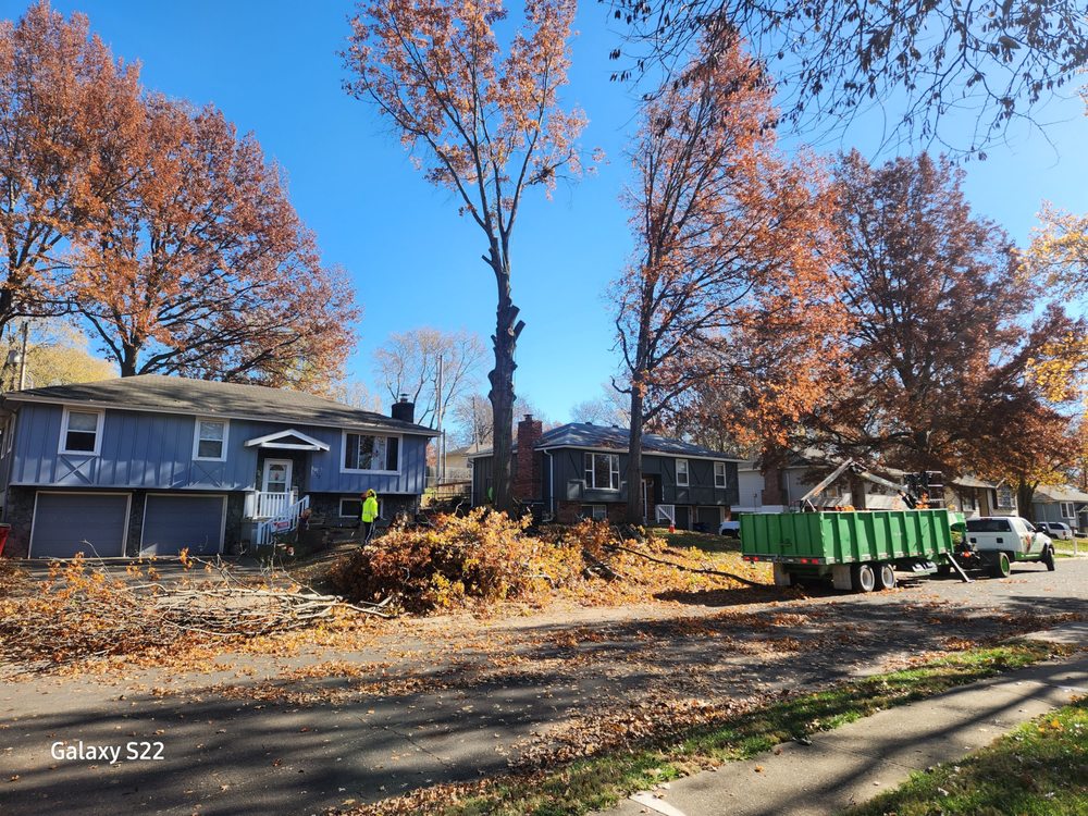 Treebullies Tree Service - tree service in Kansas City, MO