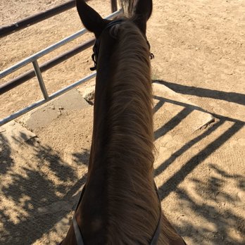 Circle K Riding Stables - Horseback Riding Near Me - Burbank, California