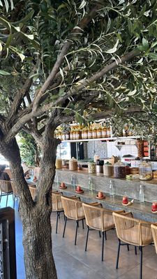 242 Knickerbocker Ave by null