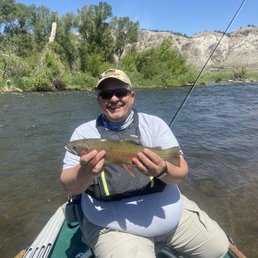Beautiful fish
