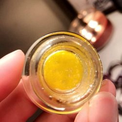 Raw Garden Sauce
