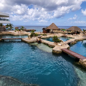 Dolphinaris - Arts & Entertainment Near Me - San Miguel de Cozumel, ROO