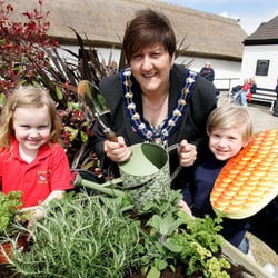 Carrickfergus in Bloom