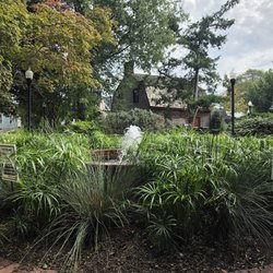 Zwaanendael Park - A view from the bench on which i was perched