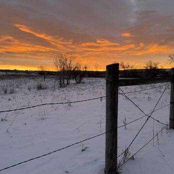 CU South - Dog Parks Near Me - Boulder, Colorado