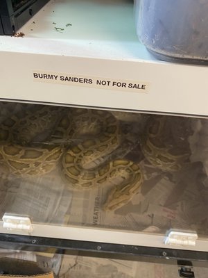 THE BIRD & REPTILE CONNECTION - Updated June 2024 - 29 Photos & 33
