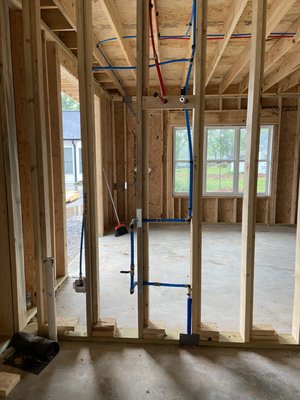 Dirty Bird Plumbing Logo