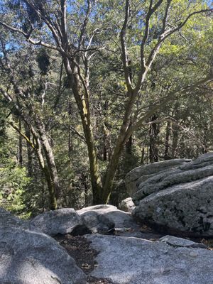 Heart Rock Trail by null