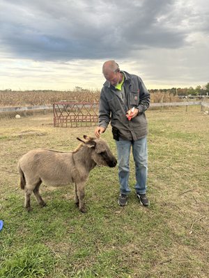 The Property Farms and McCallum's Orchard & Cider Mill by null