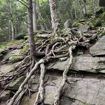 Devils Path - Hiking Near Me - Elka Park, New York
