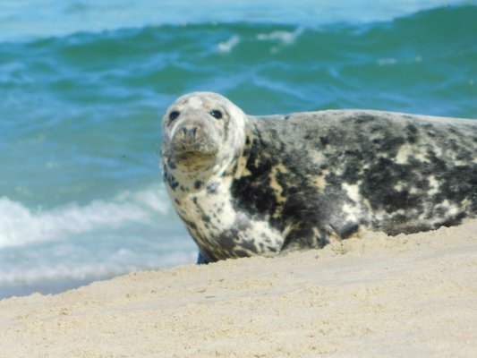 Kattuk Expeditions by null