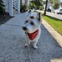 Photo of Seaside Pet Naturals