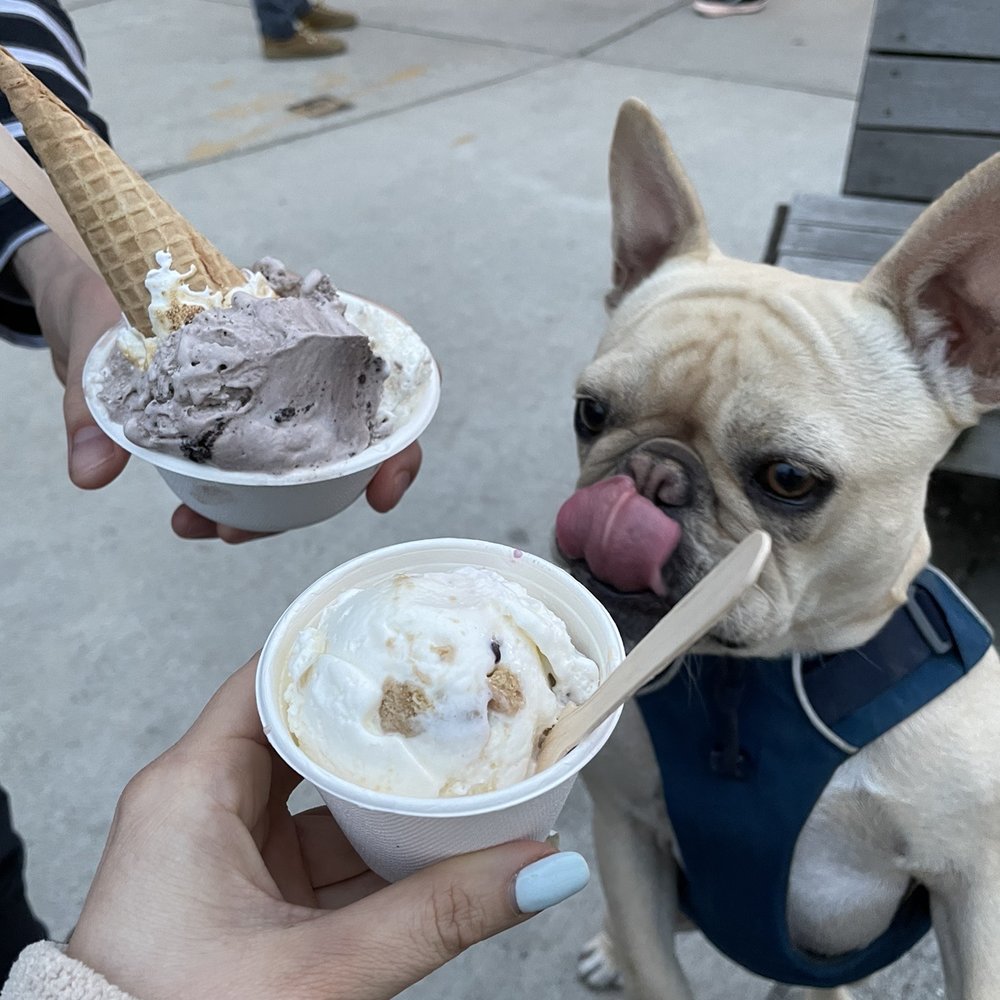 Gracie's Ice Cream - Fluff Cone - Ice Cream & Frozen Yogurt Near Me - Somerville, Massachusetts Gracie's Ice Cream - Fluff Cone - Ice Cream & Frozen Yogurt Near Me - Somerville, Massachusetts