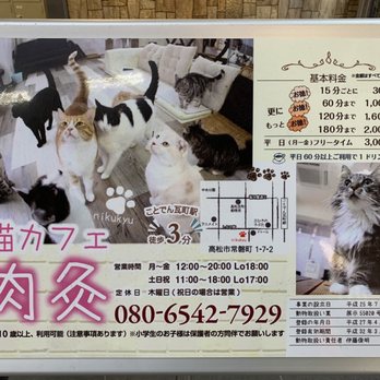 カフェねこ❶ ねこカフェ肉球 - Updated August 2025 - 常磐町1-7-2, 高松市
