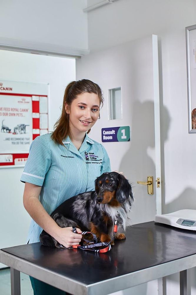 BEST FRIENDS VET GROUP DEBDEN 24 Photos 70 The Broadway, Loughton