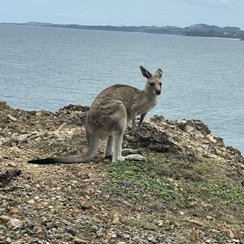Moonee Beach Nature Reserve - Parks Near Me