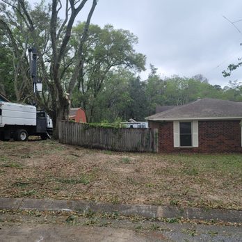 Economy Tree Service - Tree Services Near Me - Pensacola, Florida