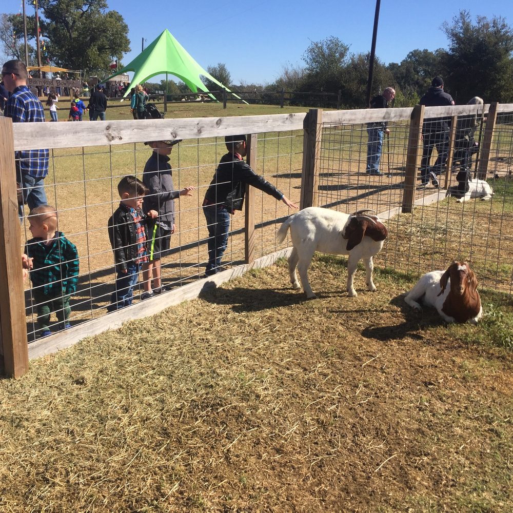 Barton Hill Farms - Petting zoo - Venues & Event Spaces Near Me - Bastrop, Texas