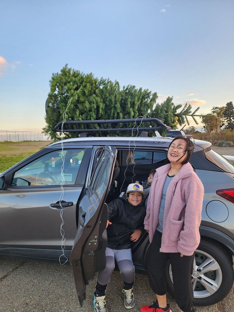 BRENT’S CHRISTMAS TREES 104 Photos & 64 Reviews 900 Harbor Bay Pkwy