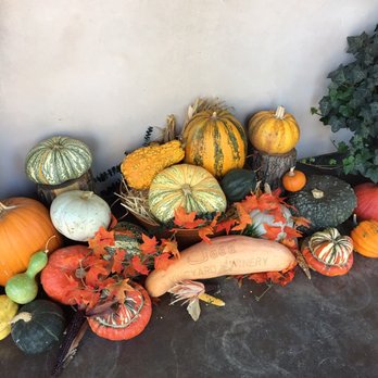 Jada Vineyard & Winery - Fall time - Wineries Near Me - Paso Robles, California Jada Vineyard & Winery - Fall time - Wineries Near Me - Paso Robles, California
