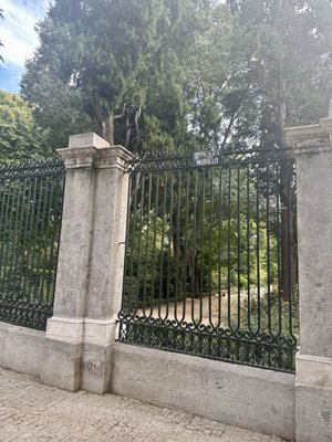 Real Jardín Botánico by null