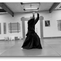 Ryushinjuku Aikido and Iaido