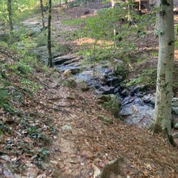Off the path