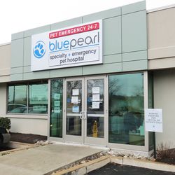 BluePearl Pet Hospital