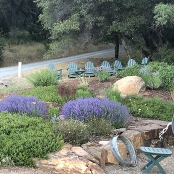 BellaGrace Vineyards - Wineries Near Me - Plymouth, California BellaGrace Vineyards - Wineries Near Me - Plymouth, California