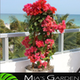 Photo of Mia's Garden Plants & Tree Rental