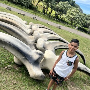 Kualoa Ranch - Tours Near Me - Kaneohe, Hawaii