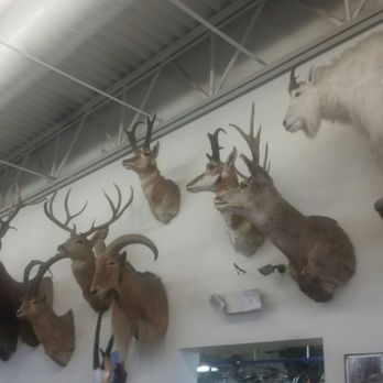 Archery Shoppe - Archery Near Me - Albuquerque, New Mexico