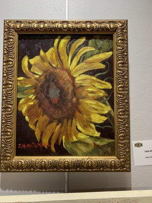 Downtown Artists Co-Op and Gallery by null