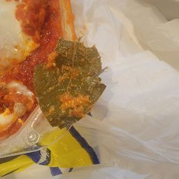 Giant bay leaf in the lasagna