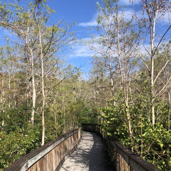Kirby Storter Roadside Park - Parks Near Me - Ochopee, Florida