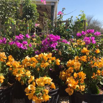 Fresh Look Landscaping & Maintenance - Lawn maintenance and landscaping - Landscaping Near Me Fresh Look Landscaping & Maintenance - Lawn maintenance and landscaping - Landscaping Near Me