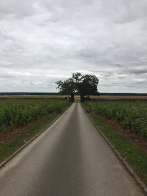 Domaine d'Ardhuy by null